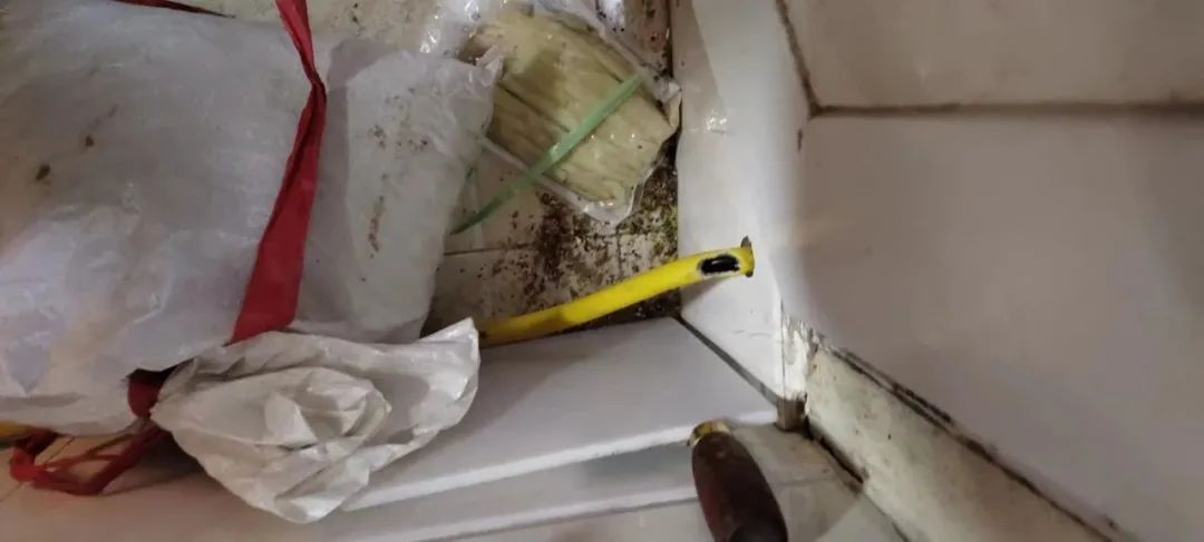 燃(rán)氣軟管被老鼠(shu)咬了個大窟窿(lóng),竟然……